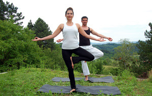 PRIVATE YOGA CLASSES PRIVATE YOGA CLASSES